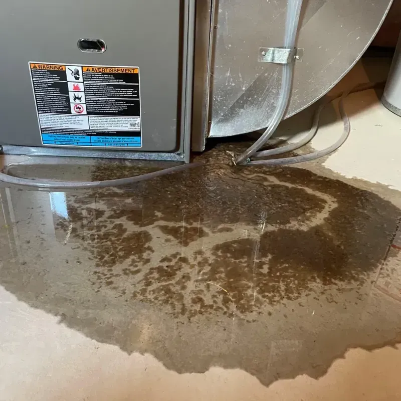 Appliance Leak Cleanup in Carpentersville, IL